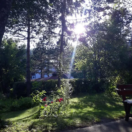 Jorgovan Zlatibor